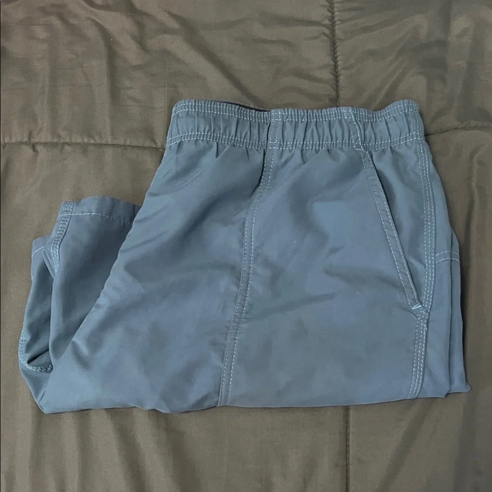 Speedo Swim Shorts Blue Size Large